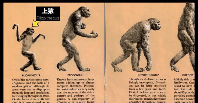 远古入侵有第六季吗_远古难度有什么用_远古怎么打