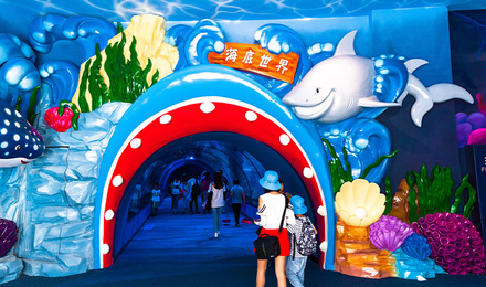 香港豚王拉面上海电话_豚王拉面_大海豚王国