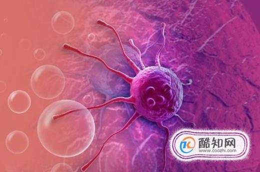 免疫力低能引起什么症状_免疫力低引起什么病_免疫力低下有什么表现