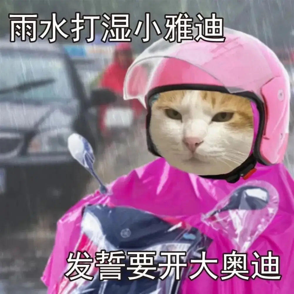 源计划猎买还送能量指示器和头像吗_源计划猎买还送能量指示器和头像吗_源计划猎买还送能量指示器和头像吗